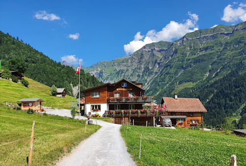 Berggasthaus Edelwyss